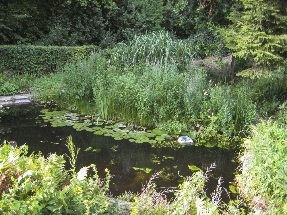 Teich